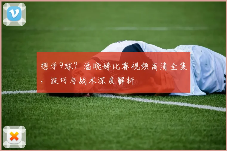 想学9球？潘晓婷比赛视频高清全集，技巧与战术深度解析